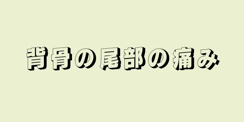 背骨の尾部の痛み