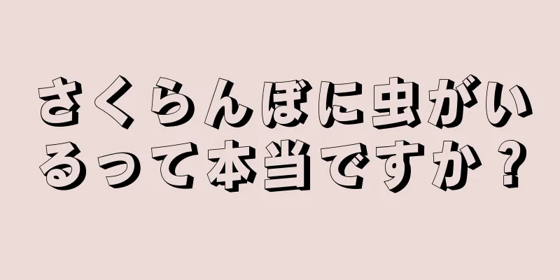 さくらんぼに虫がいるって本当ですか？