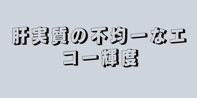 肝実質の不均一なエコー輝度