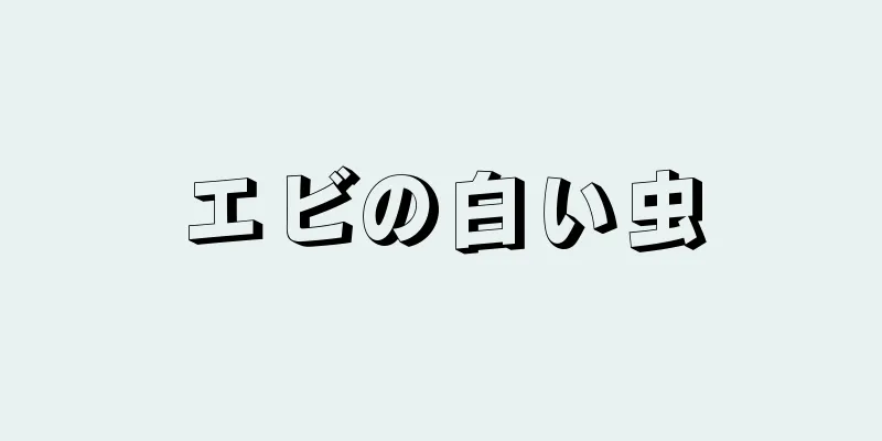 エビの白い虫