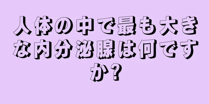 人体の中で最も大きな内分泌腺は何ですか?