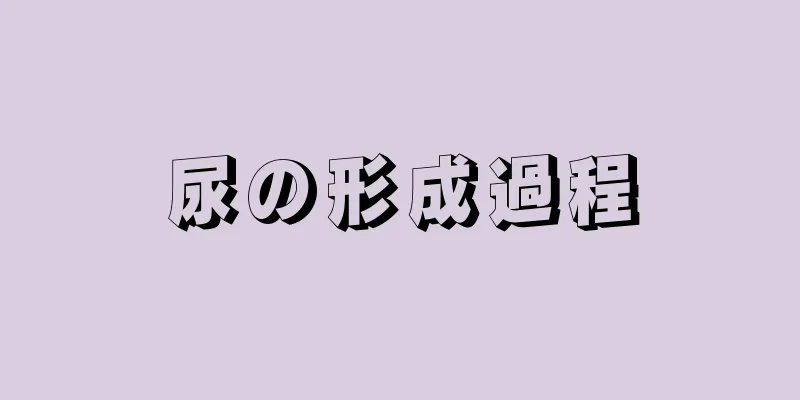 尿の形成過程