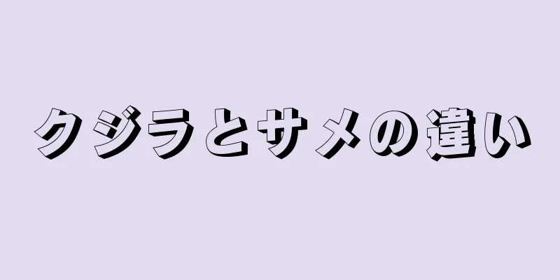 クジラとサメの違い