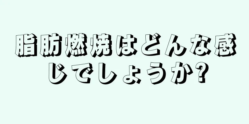 脂肪燃焼はどんな感じでしょうか?