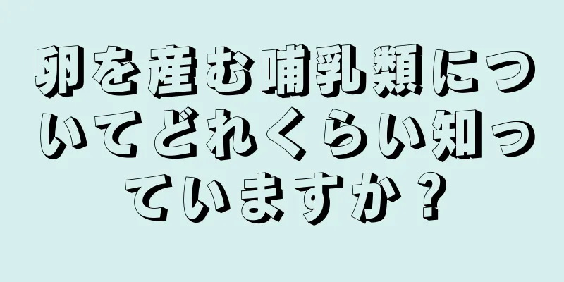 卵を産む哺乳類についてどれくらい知っていますか？