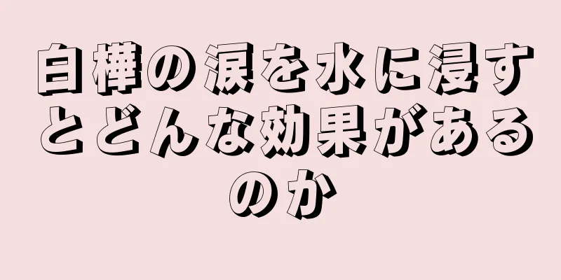 白樺の涙を水に浸すとどんな効果があるのか