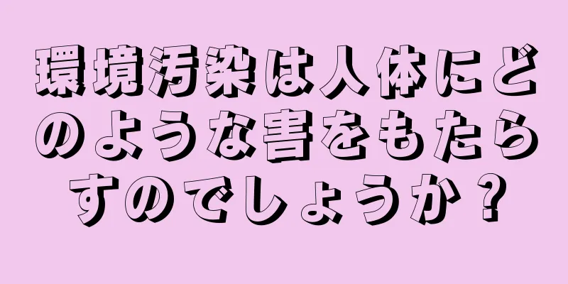 環境汚染は人体にどのような害をもたらすのでしょうか？